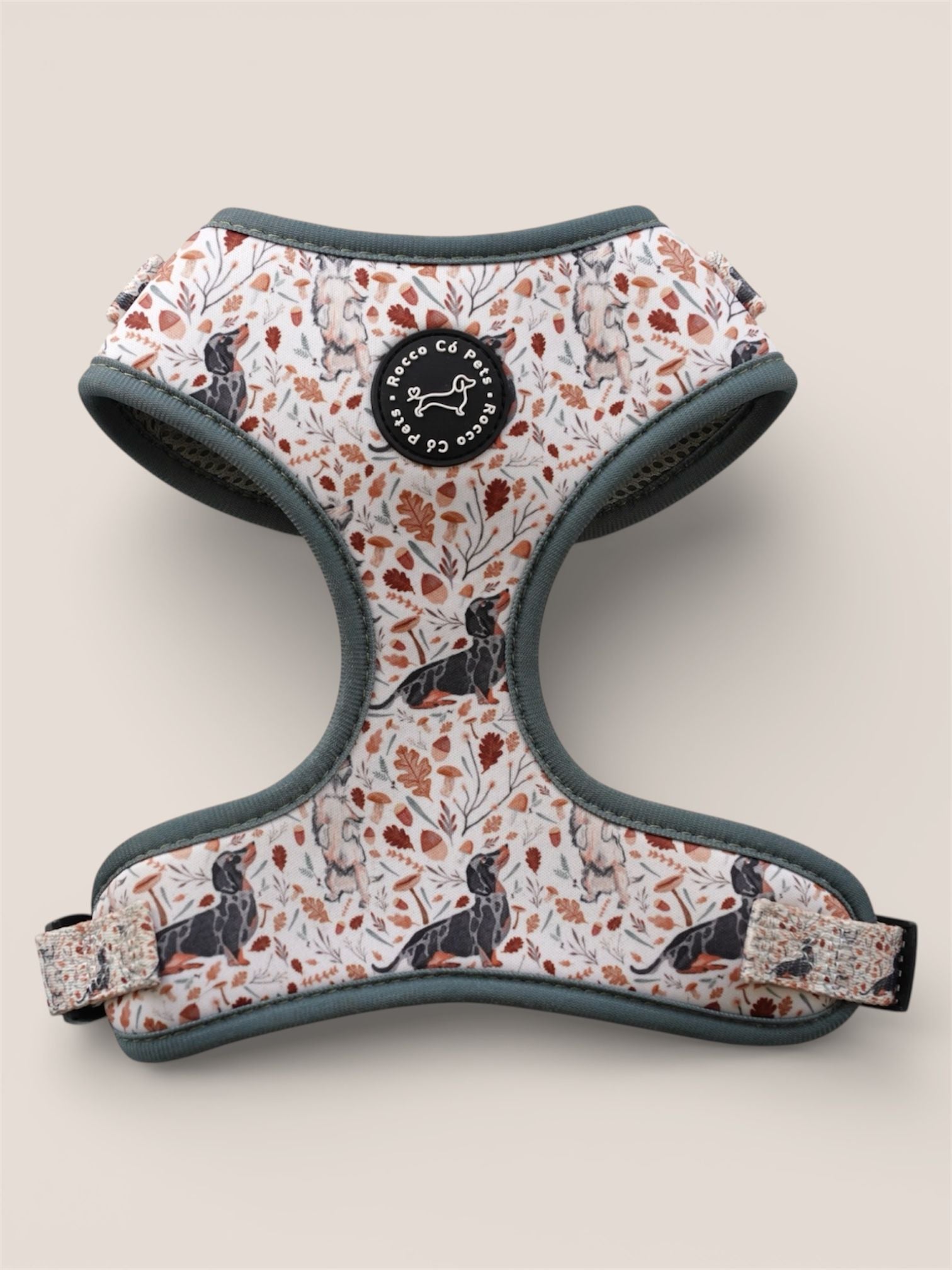 Pack Arnés Otoño - "Estaciones Encantadas"