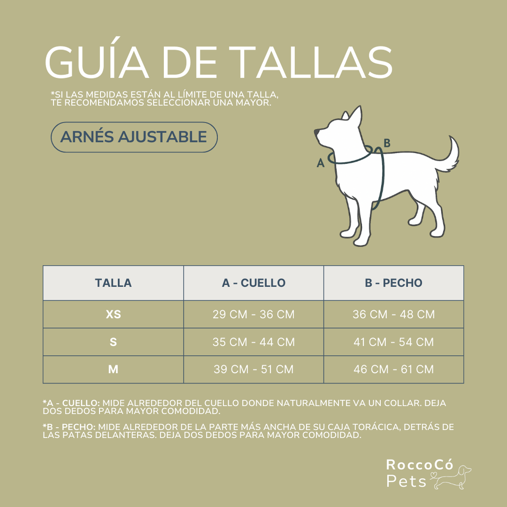 Pack Arnés Invierno - "Estaciones Encantadas"