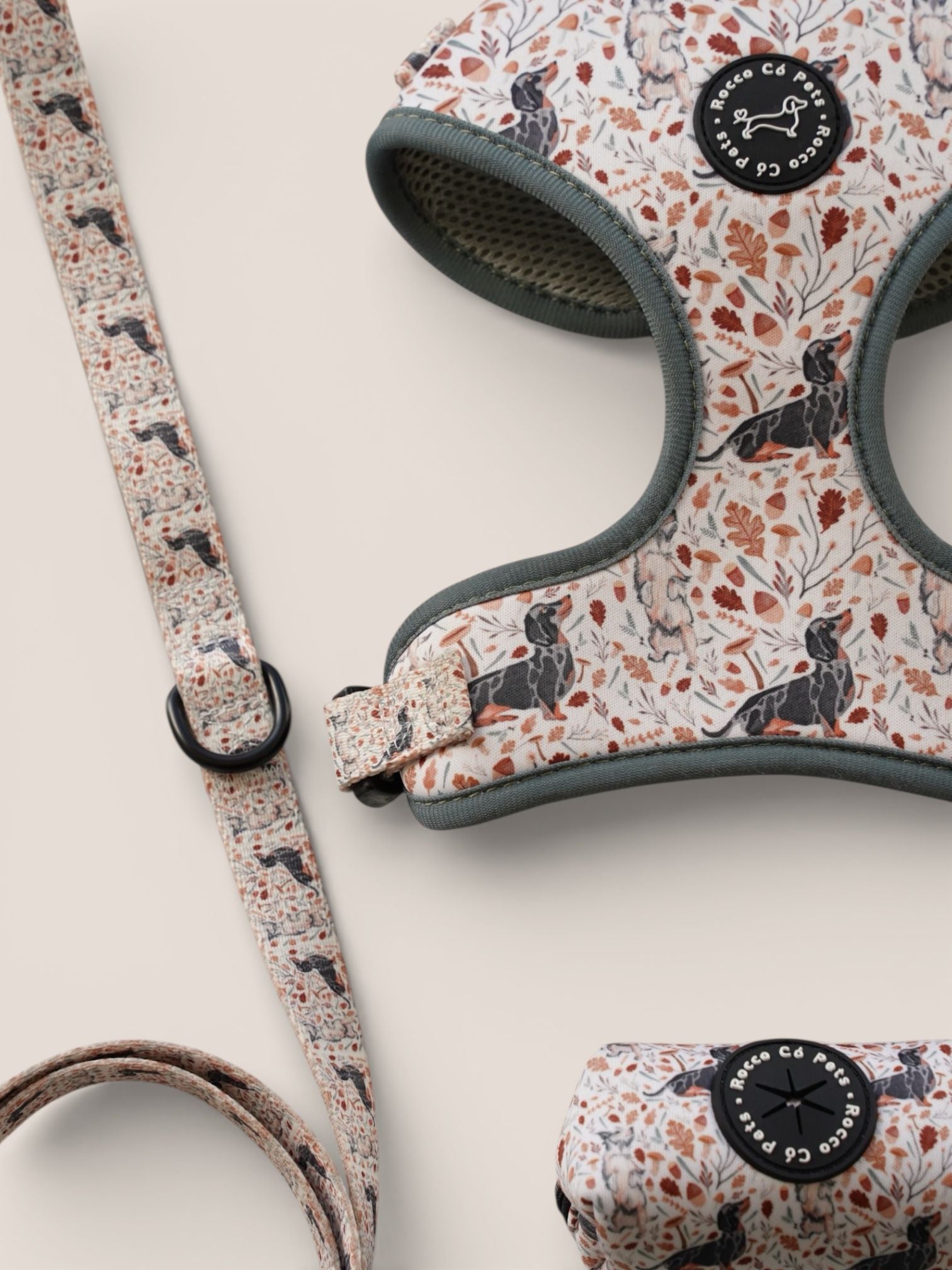 Pack Arnés Otoño - "Estaciones Encantadas"