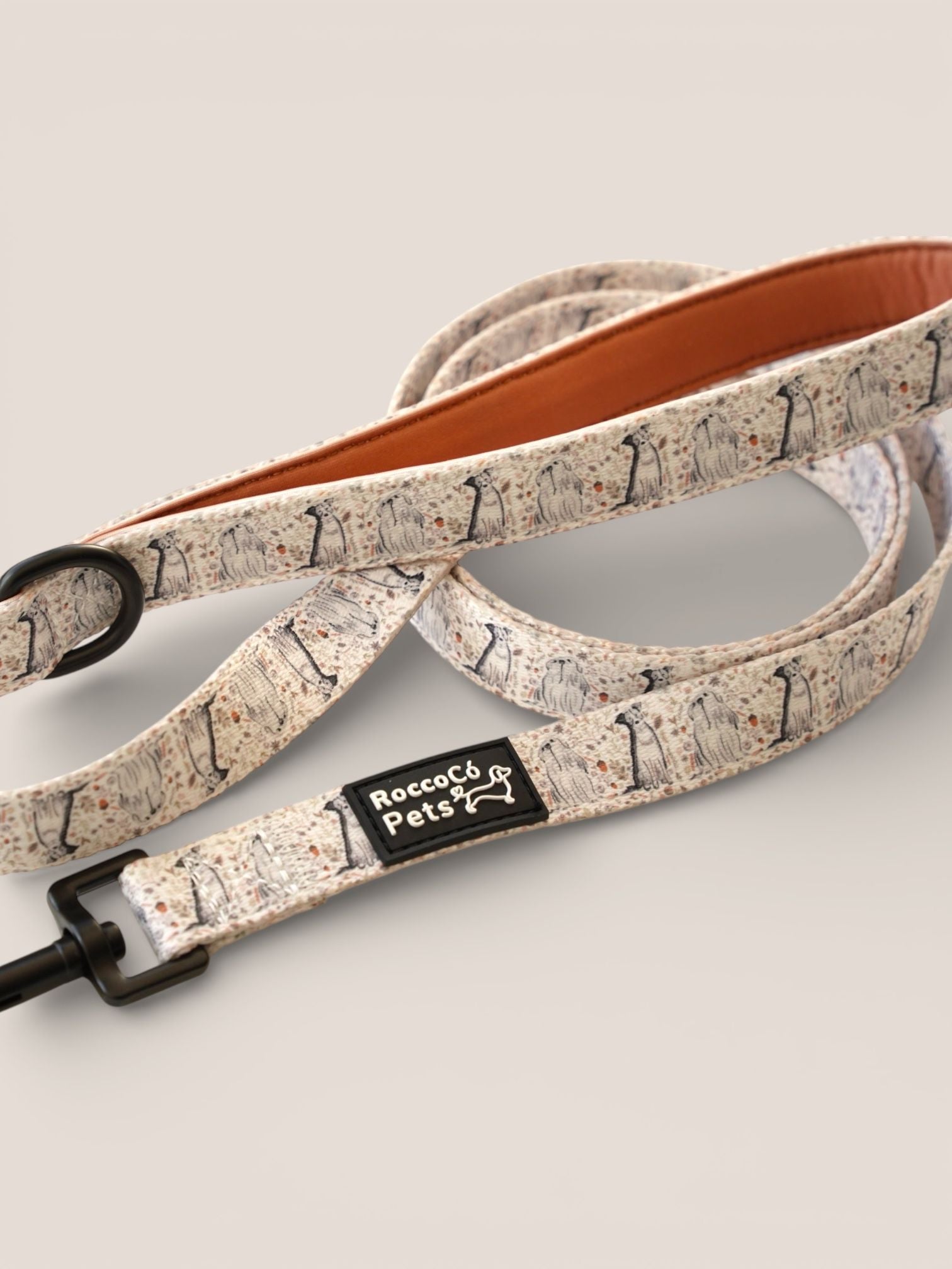 Correa Invierno - "Estaciones Encantadas"