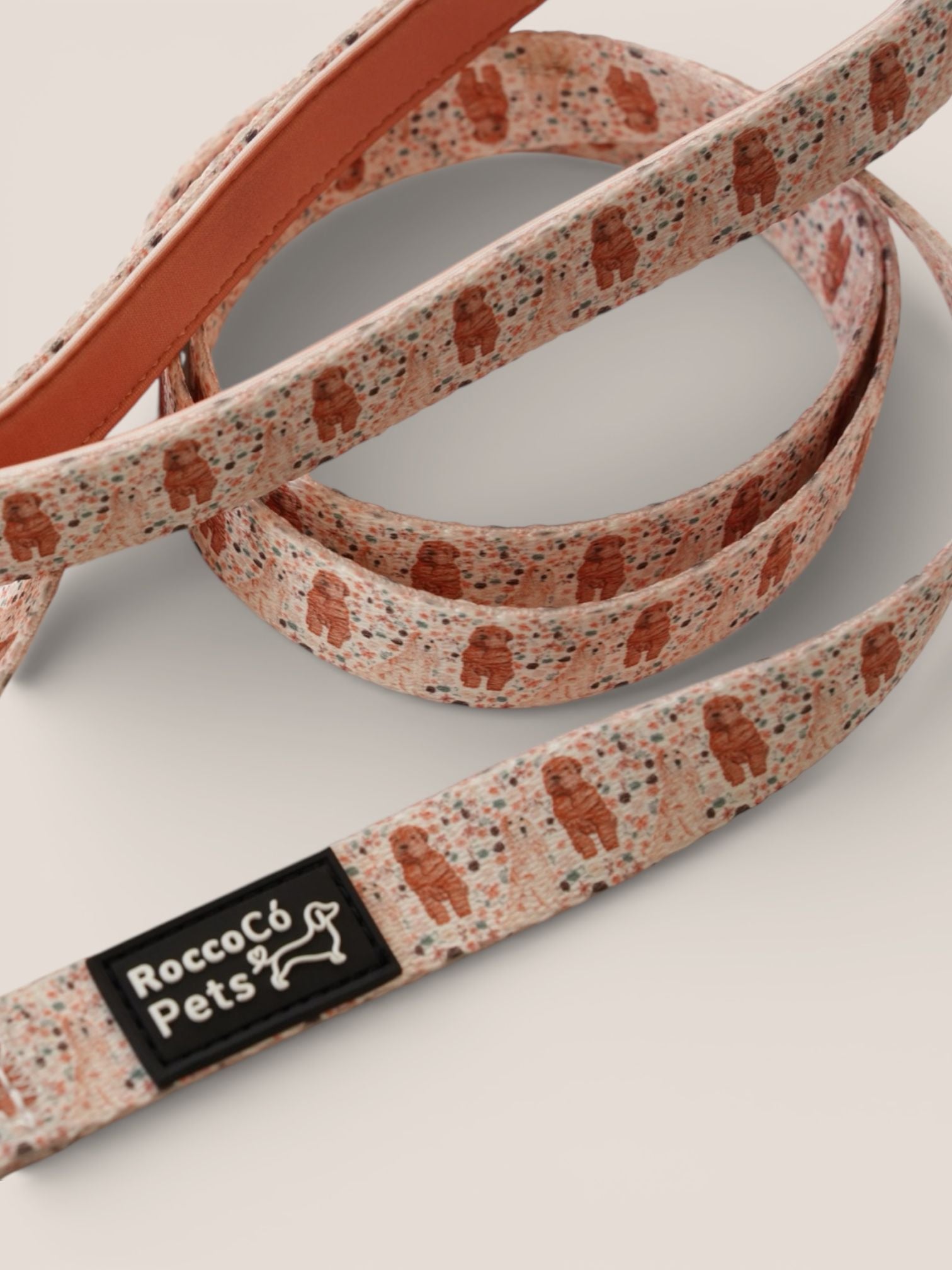 Correa Primavera - "Estaciones Encantadas"