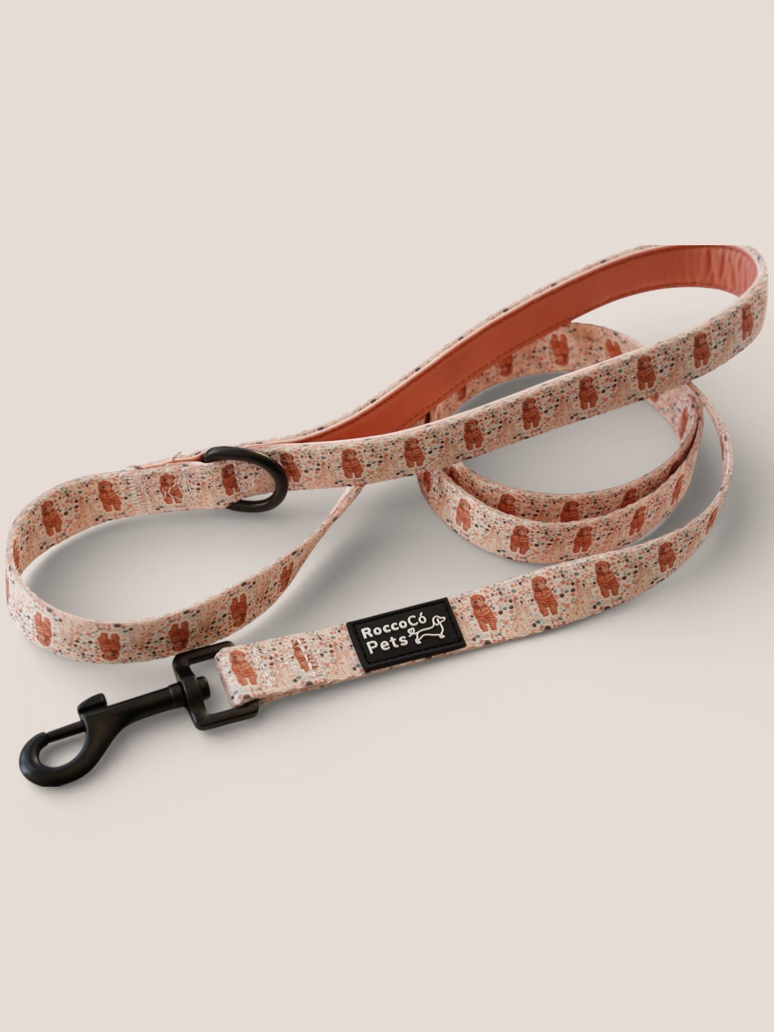 Correa Primavera - "Estaciones Encantadas"