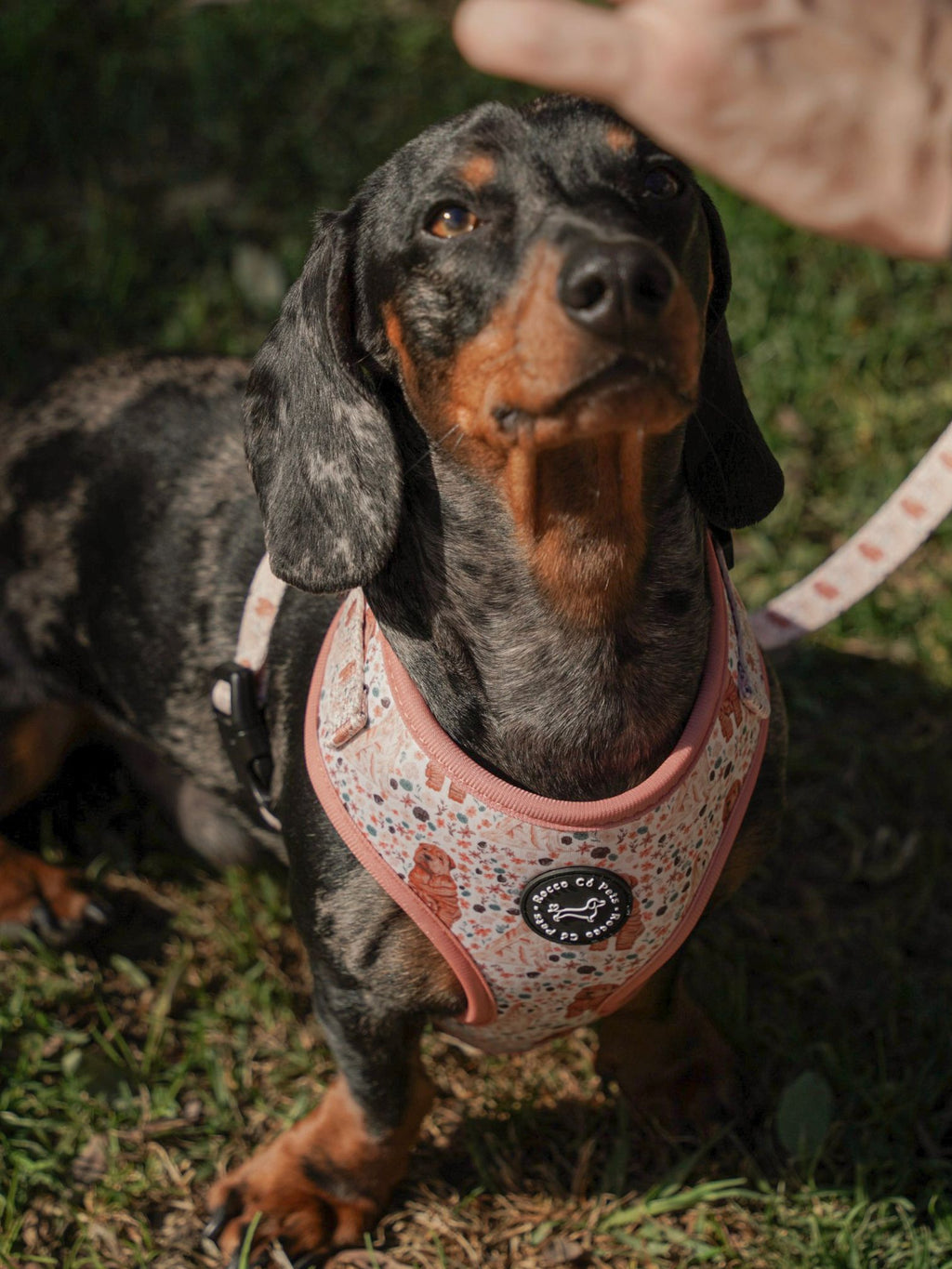 Arnés Ajustable Primavera - "Estaciones Encantadas"