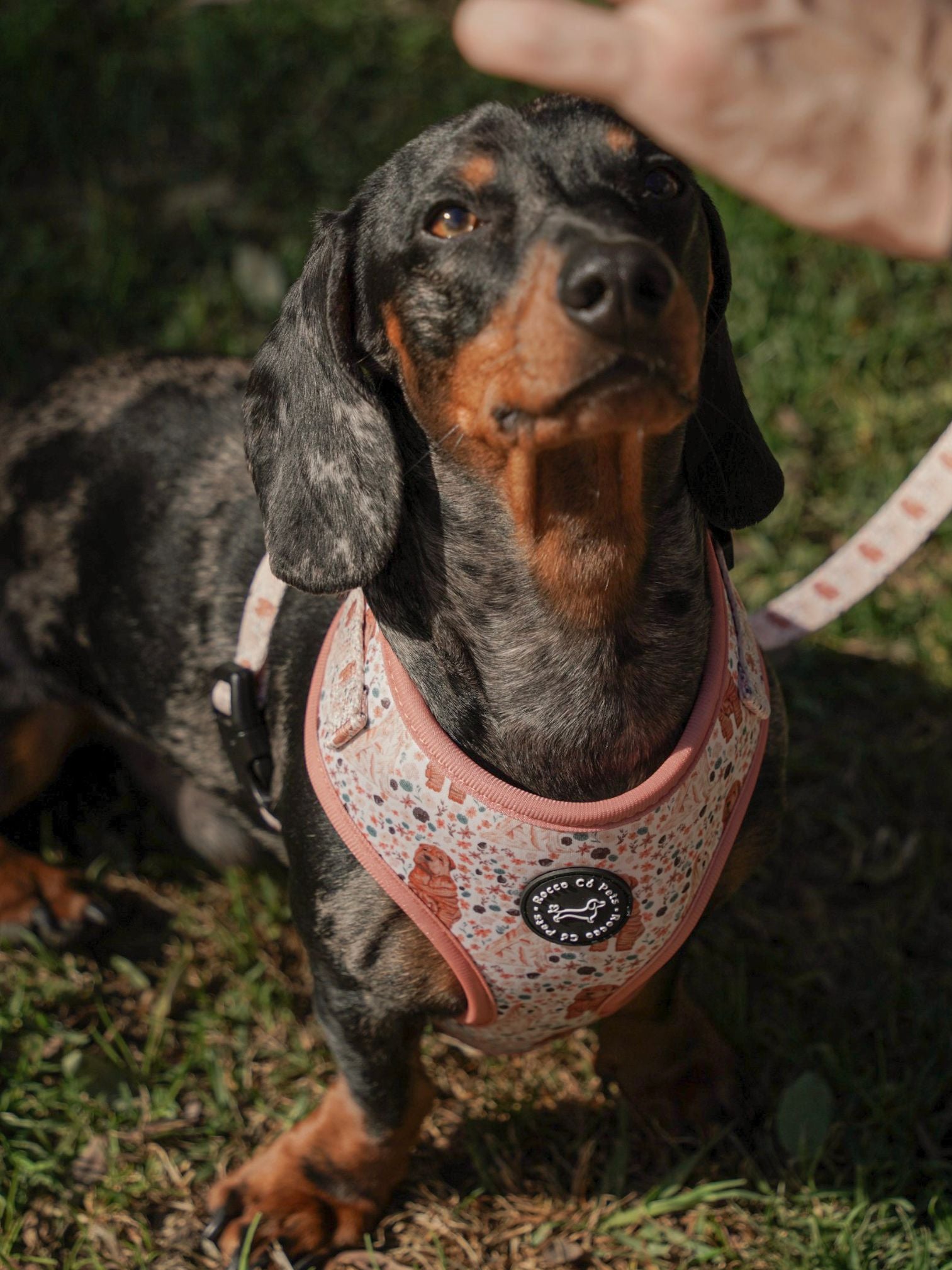 Pack Completo Primavera - "Estaciones Encantadas"