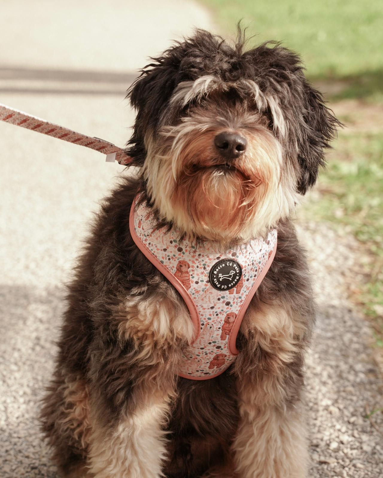 Pack Completo Primavera - "Estaciones Encantadas"