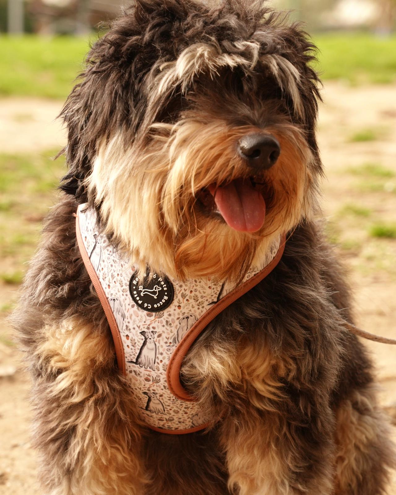 Pack Completo Invierno - "Estaciones Encantadas"