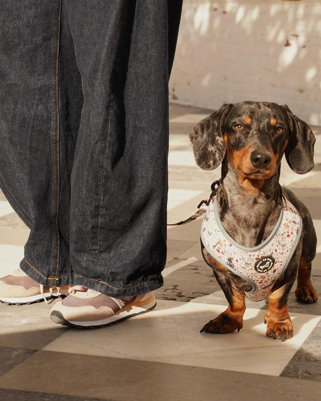 Pack Arnés Otoño - "Estaciones Encantadas"