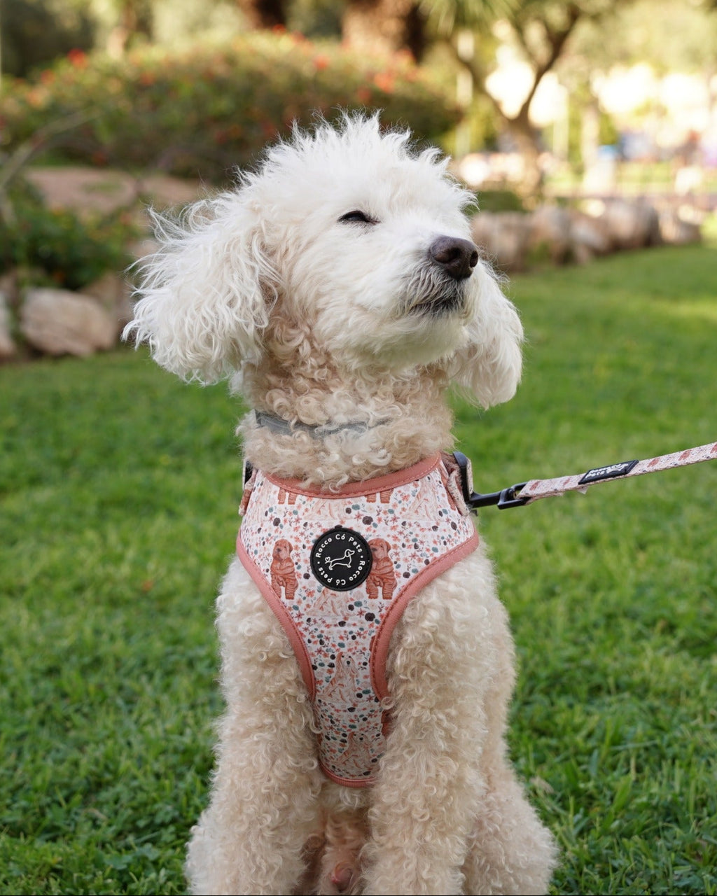 Arnés Ajustable Primavera - "Estaciones Encantadas"