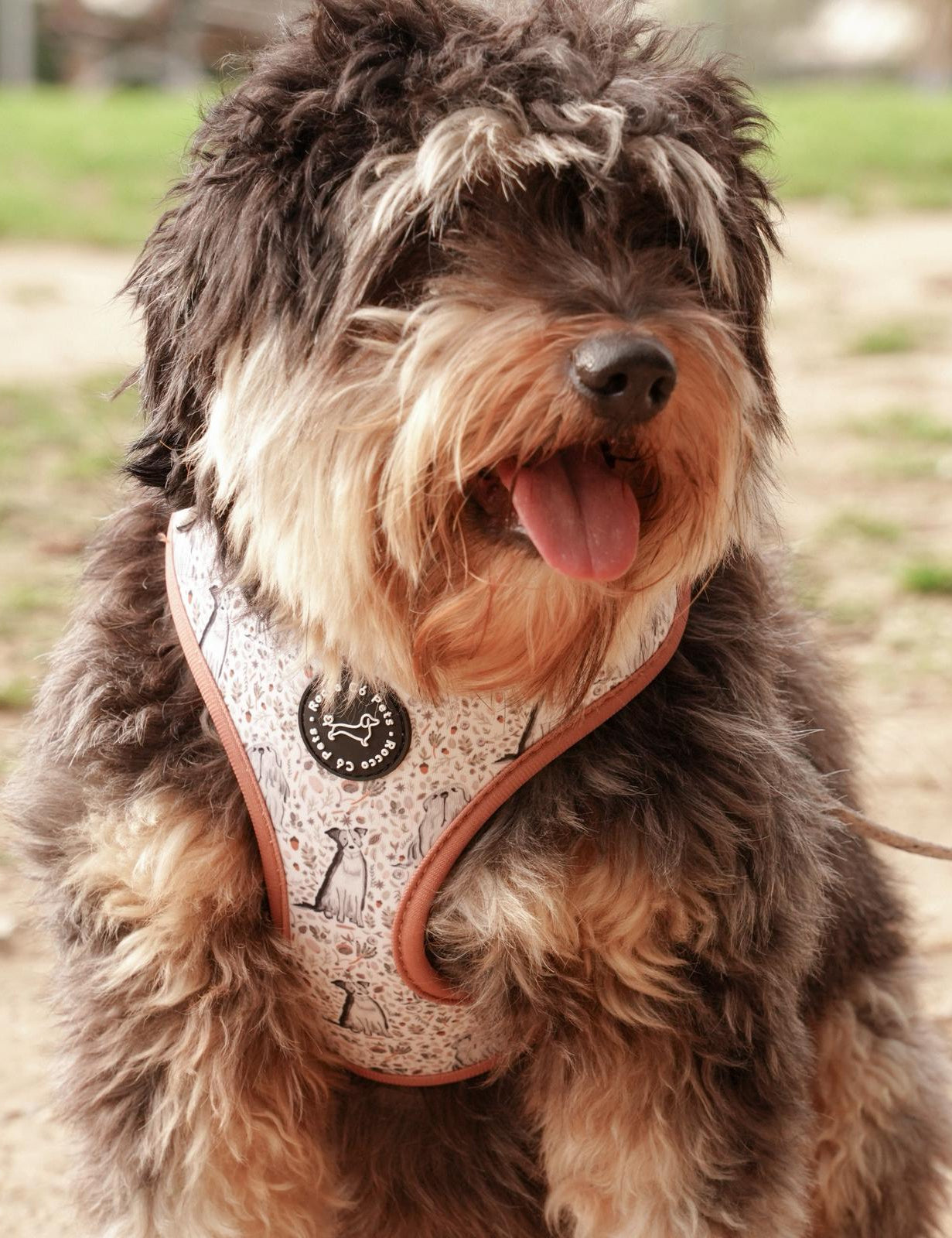 Pack Arnés Invierno - "Estaciones Encantadas"