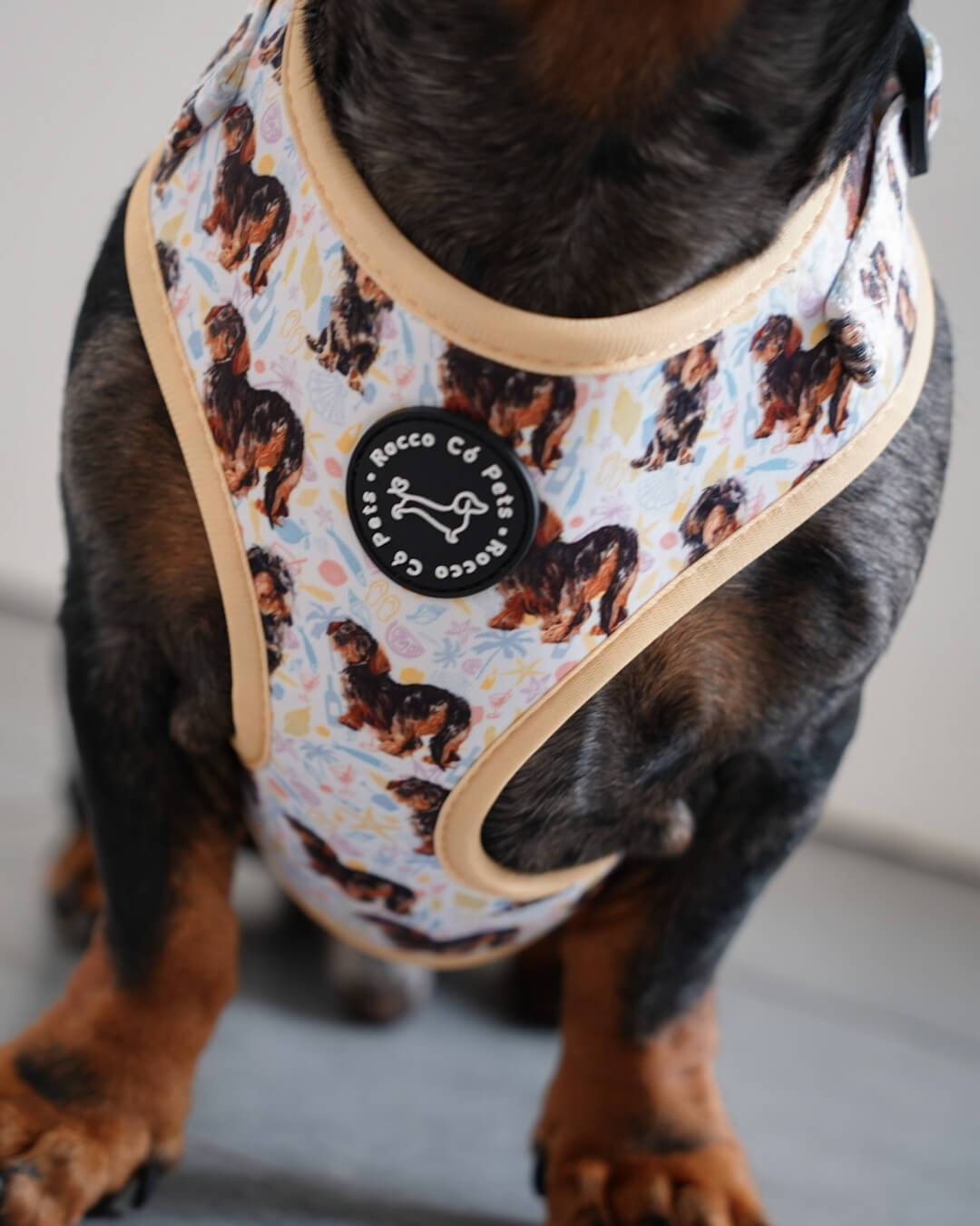 Geschirrpaket Herbst – Rocco & Roberta