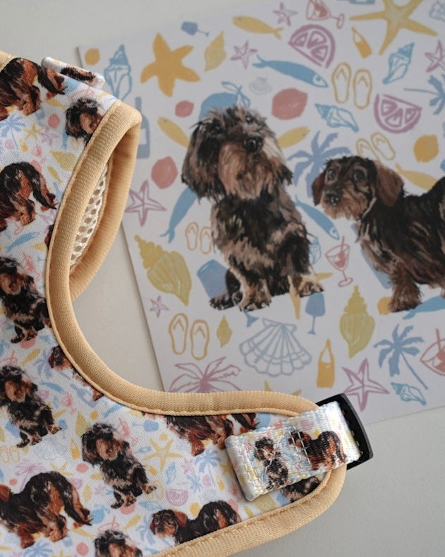 Geschirrpaket Herbst – Rocco & Roberta