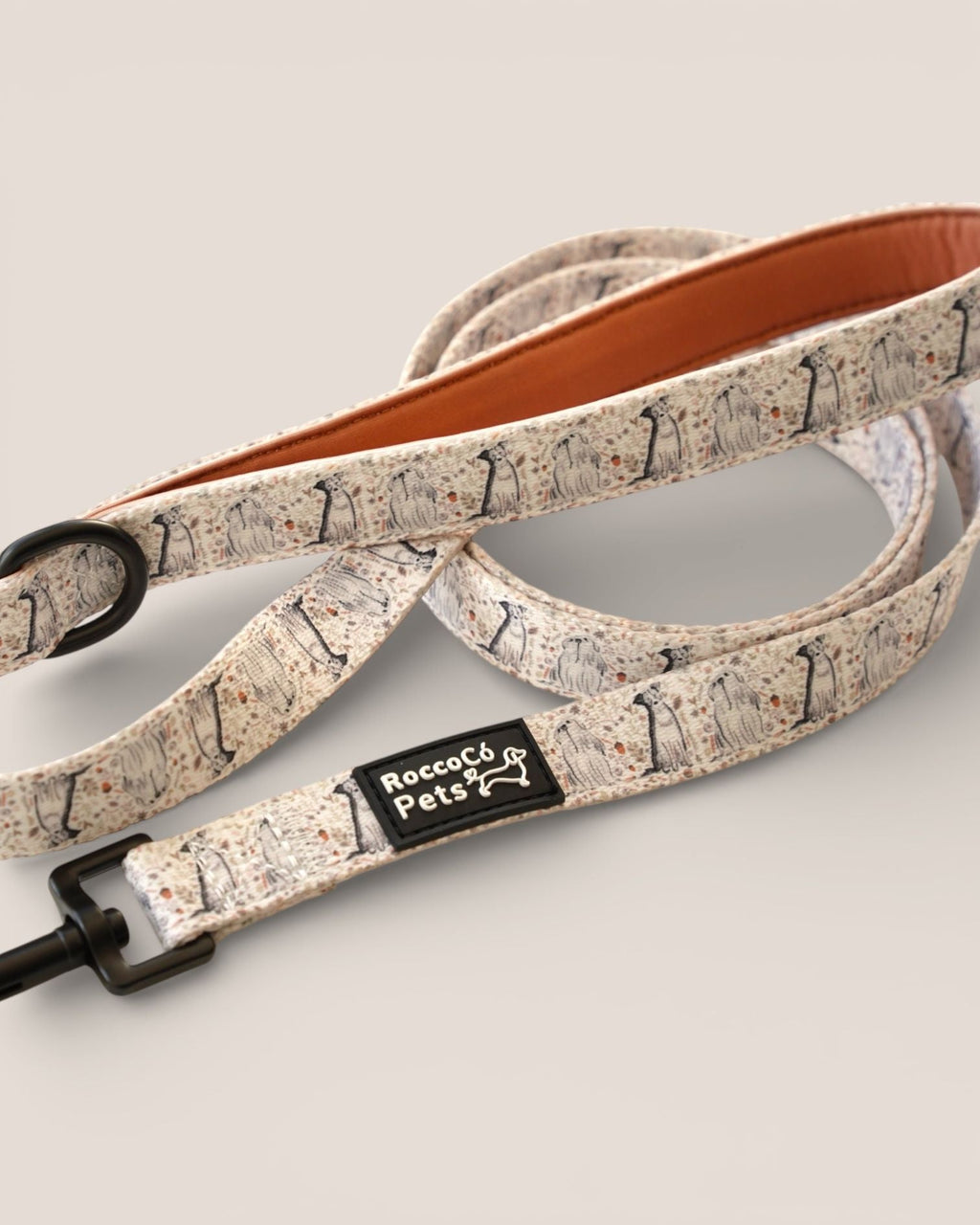 Correa Invierno - Pippo & Bruno
