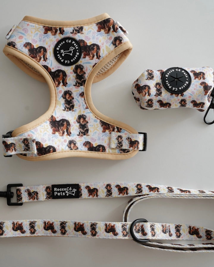 Geschirrpaket Herbst – Rocco & Roberta