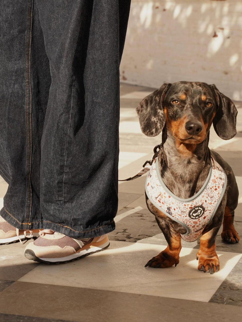 Adjustable Harness Fall - Rocco & Roberta