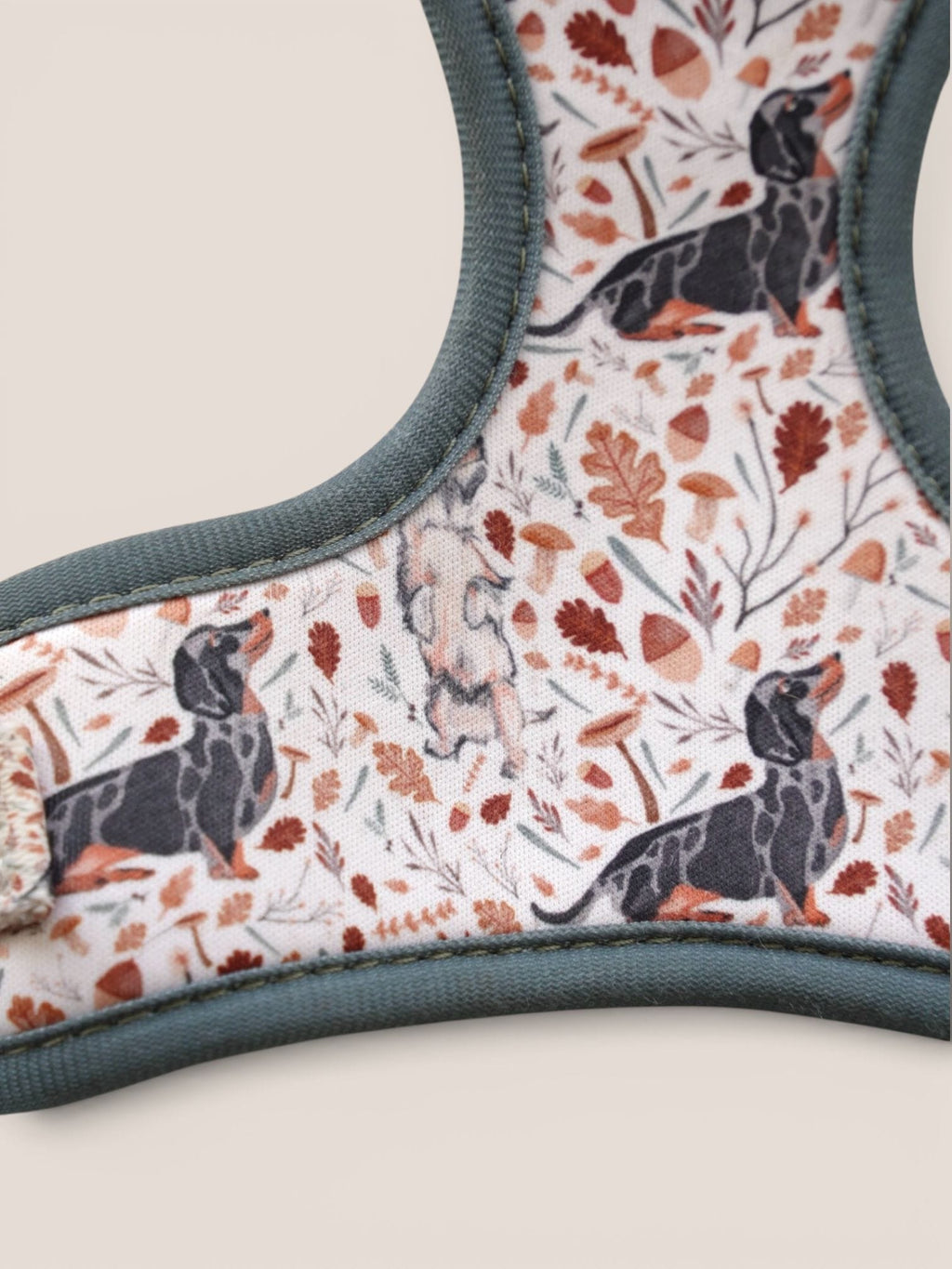 Adjustable Harness Fall - Rocco & Roberta