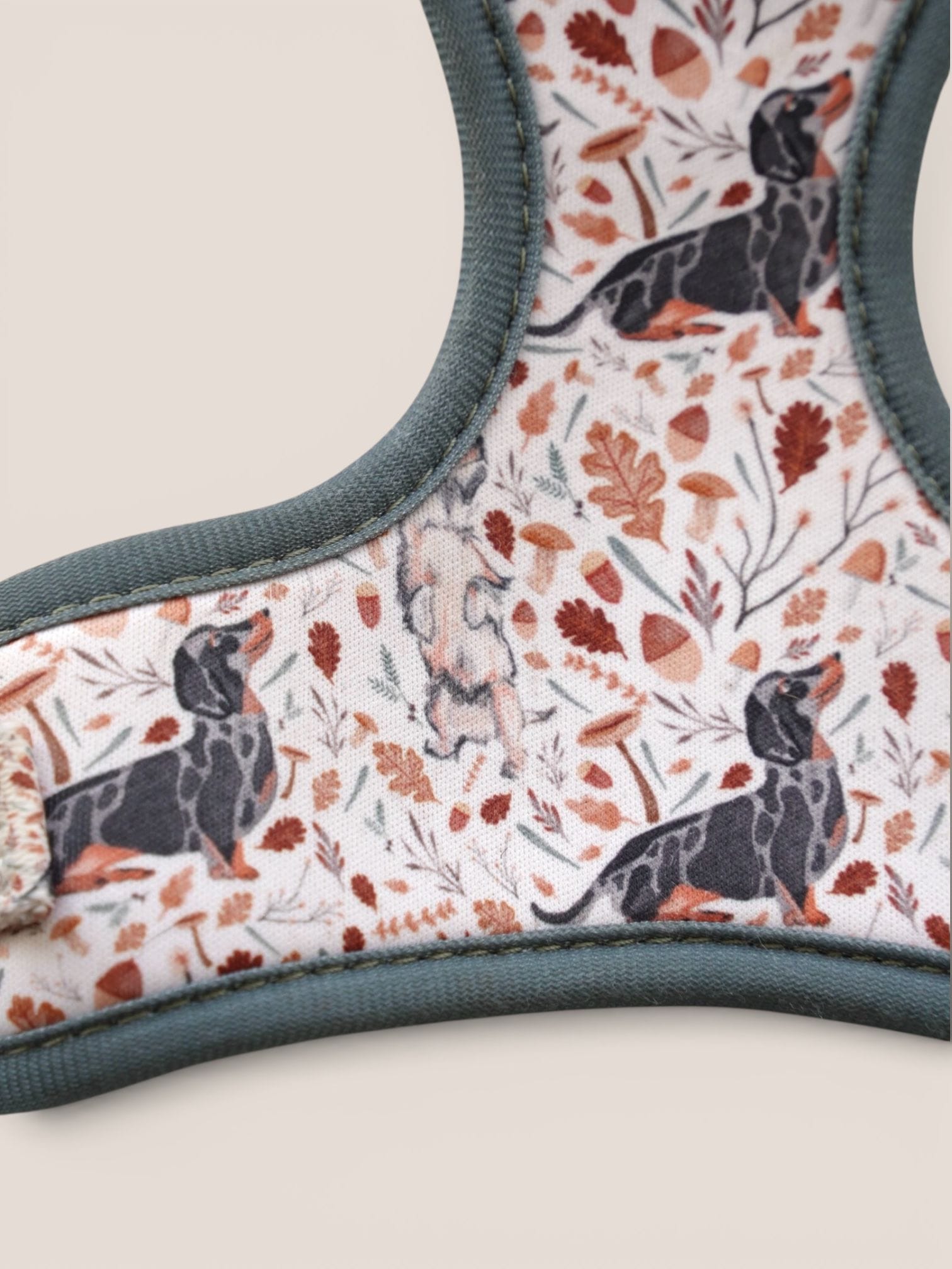 Adjustable Harness Fall - Rocco & Roberta