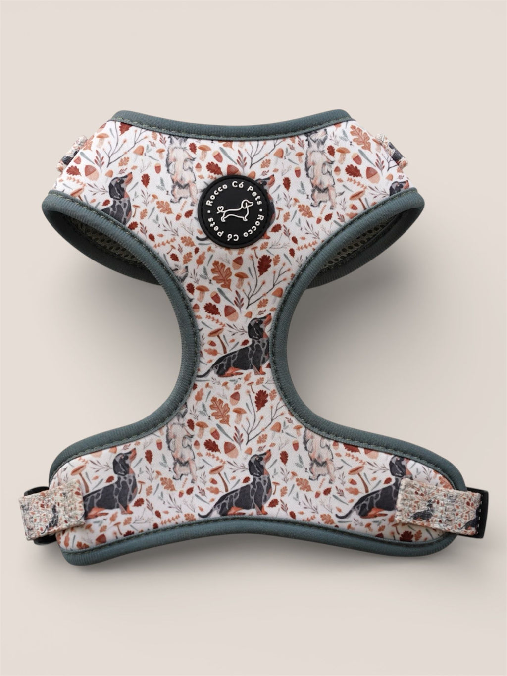 Adjustable Harness Fall - Rocco & Roberta