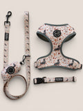 Pack Completo Otoño - Rocco & Roberta - SOLO M