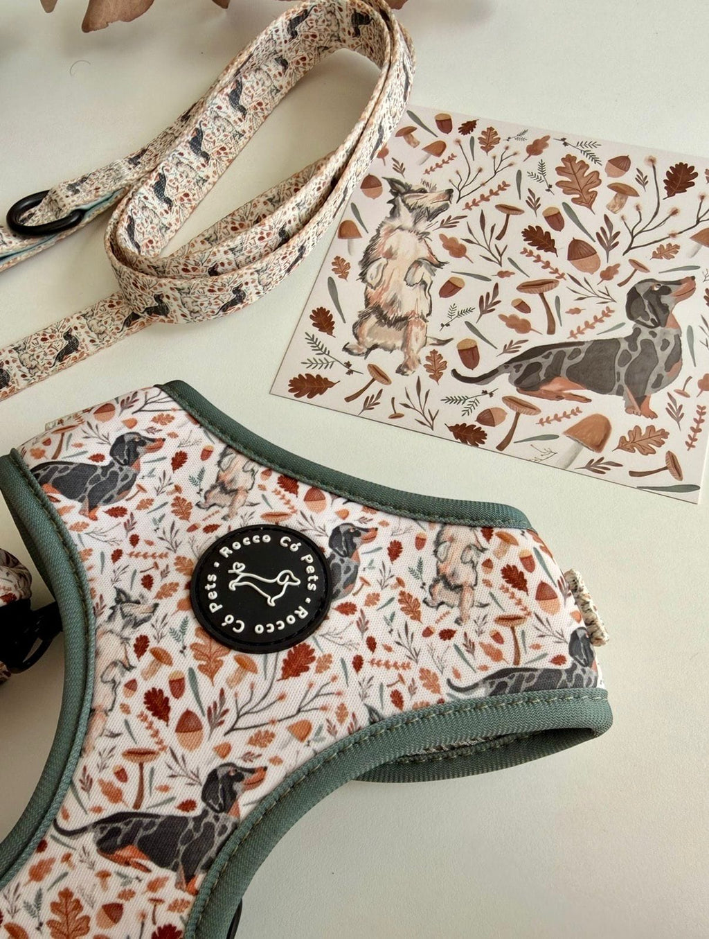 Adjustable Harness Fall - Rocco & Roberta