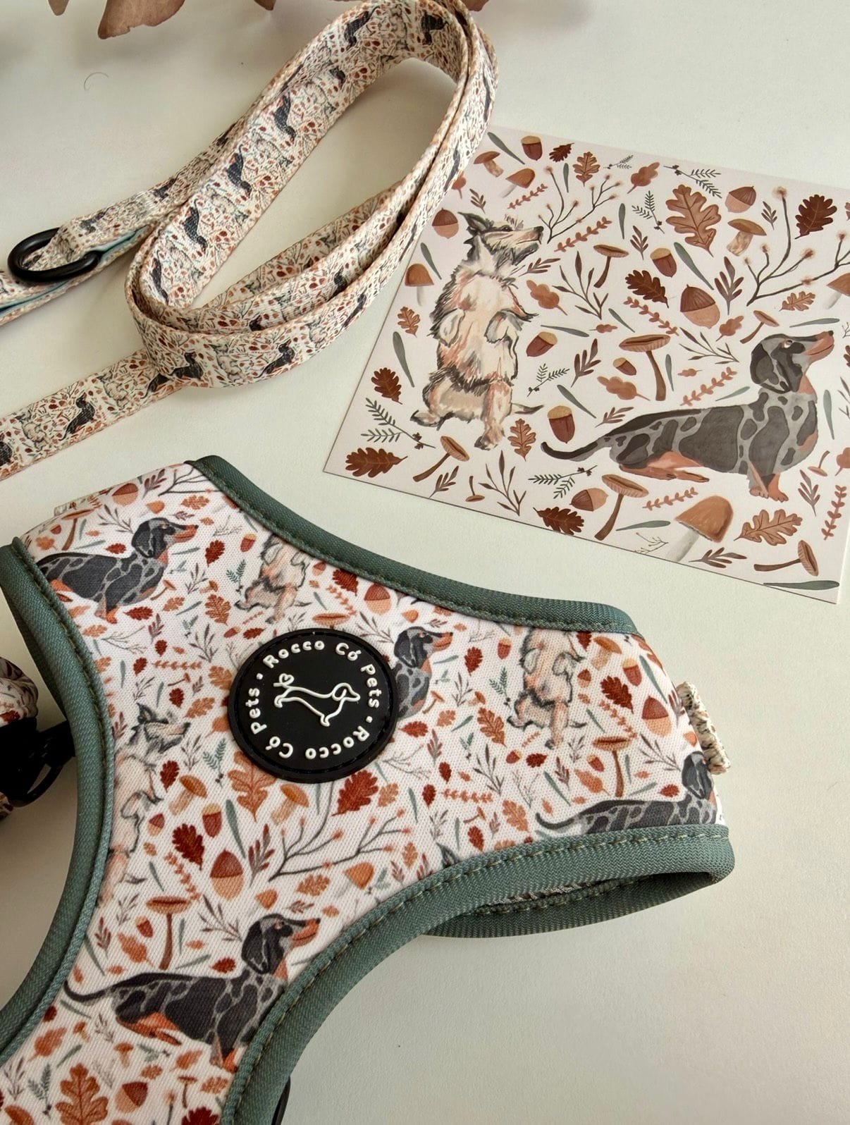 Adjustable Harness Fall - Rocco & Roberta